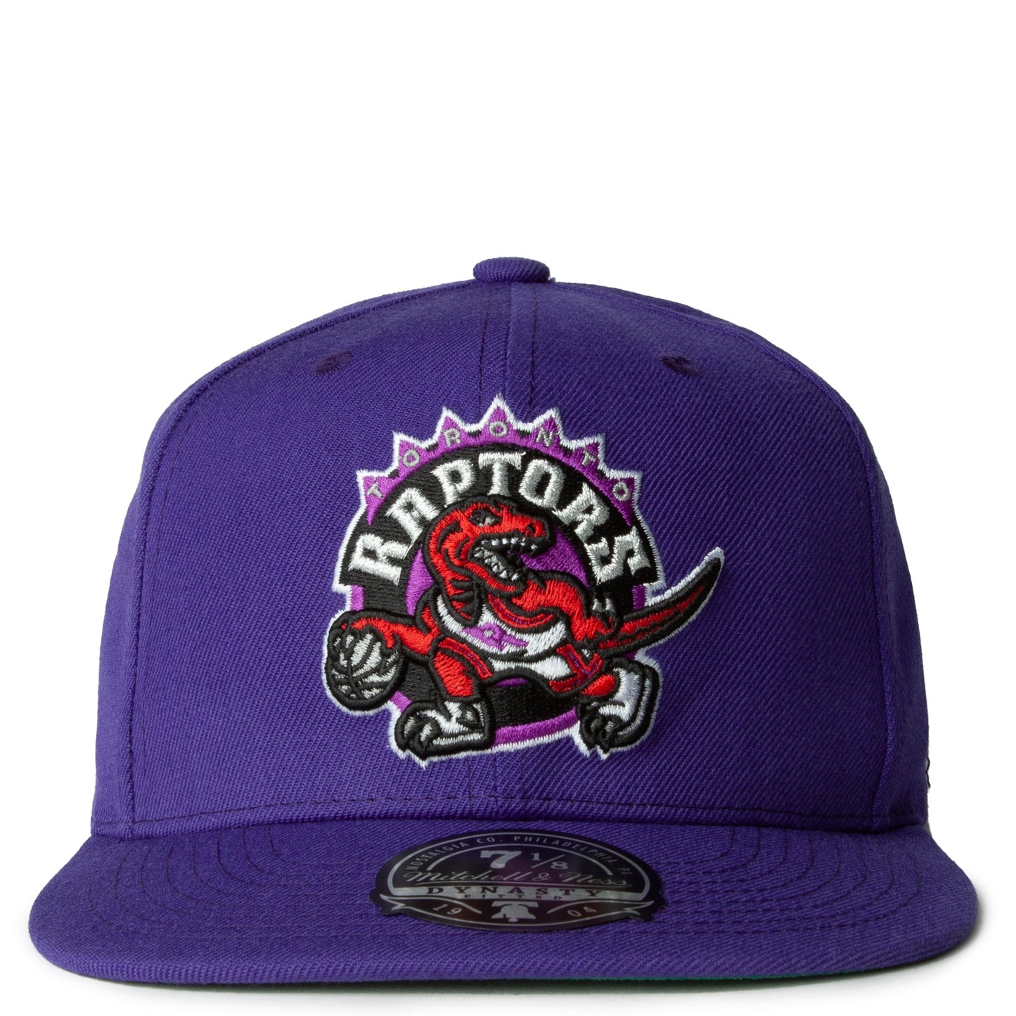 Mitchell & Ness Men's NBA Team Ground 2.0 Fitted Hwc Raptors Fitted Caps