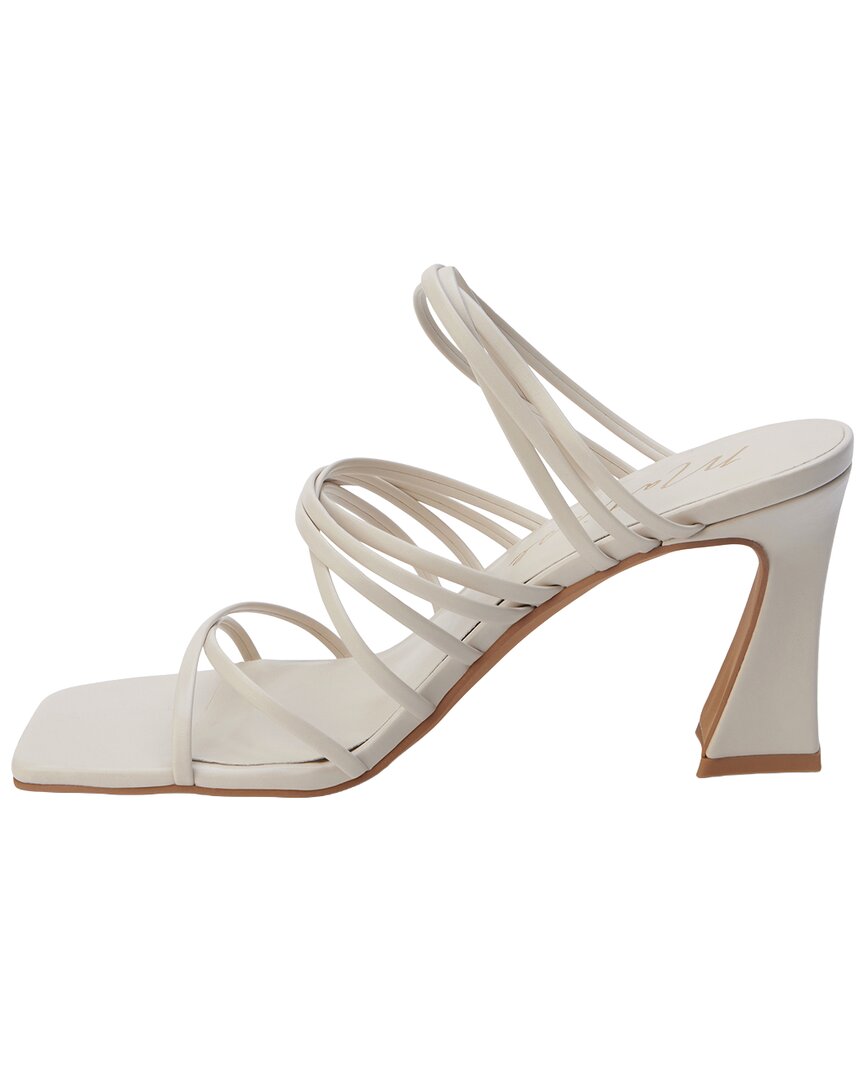 Ivory-