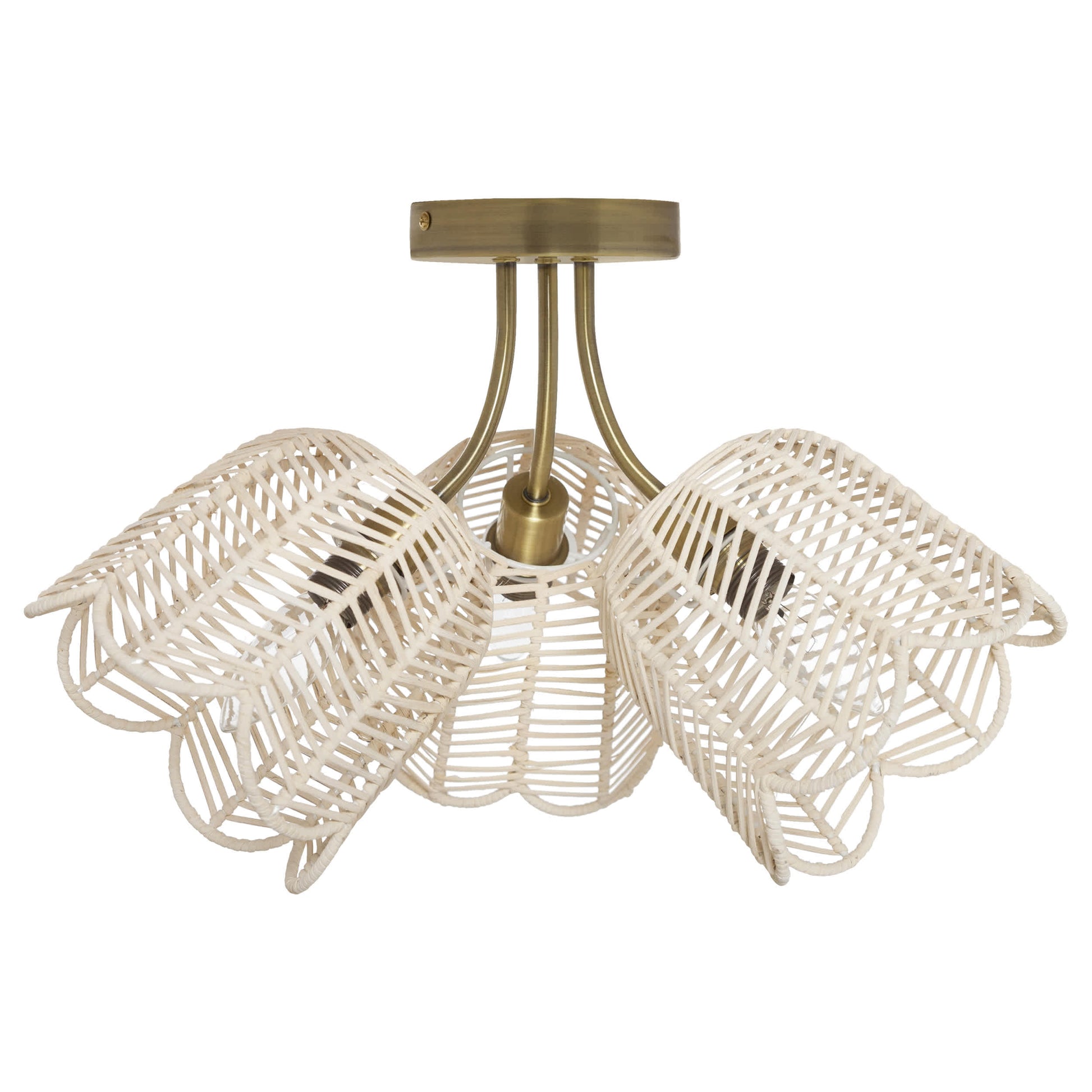 White/Gold-