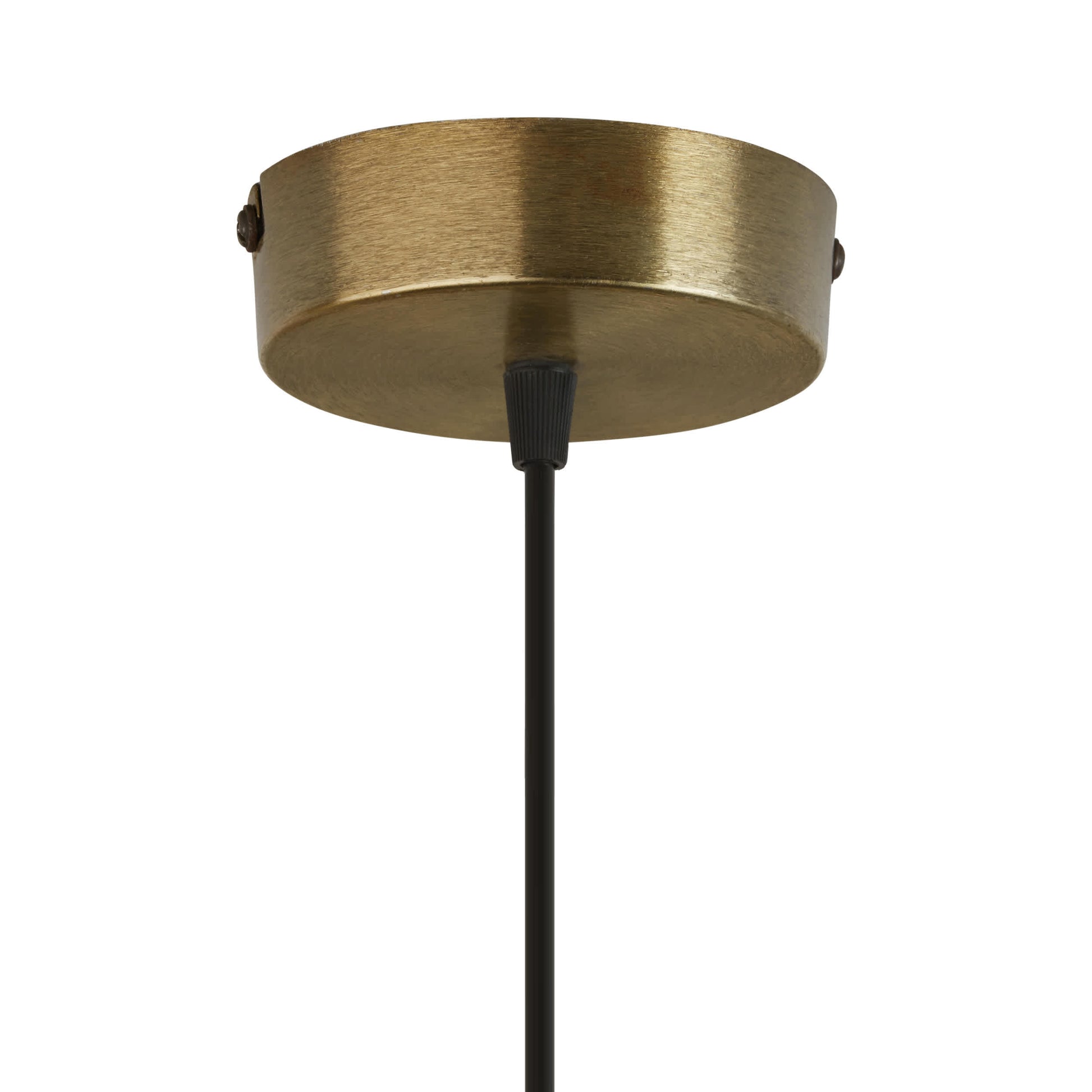 Brass/Clear-
