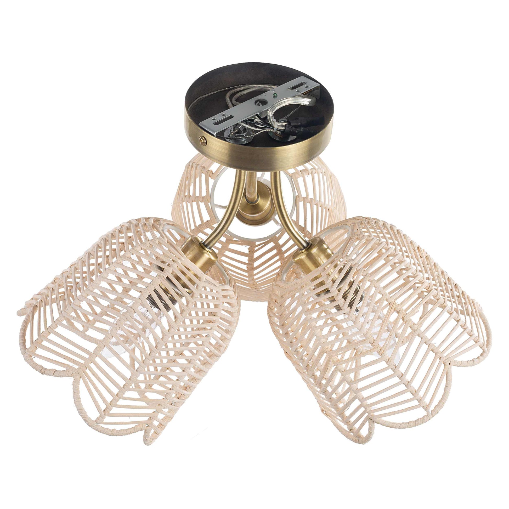 White/Gold-