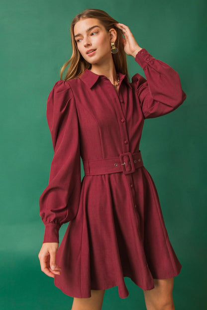 Wrapped up in Love Mini Dress