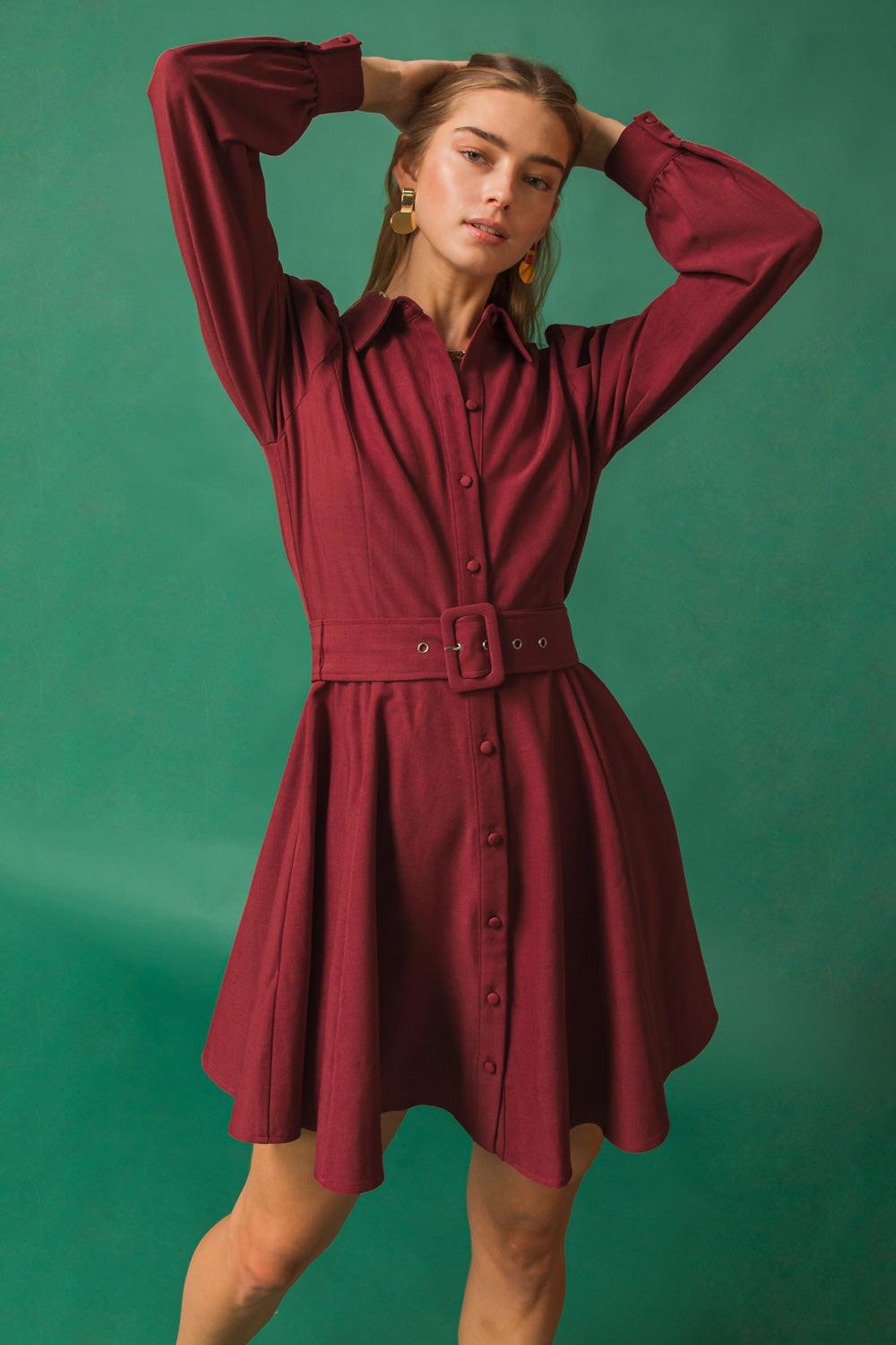 Wrapped up in Love Mini Dress