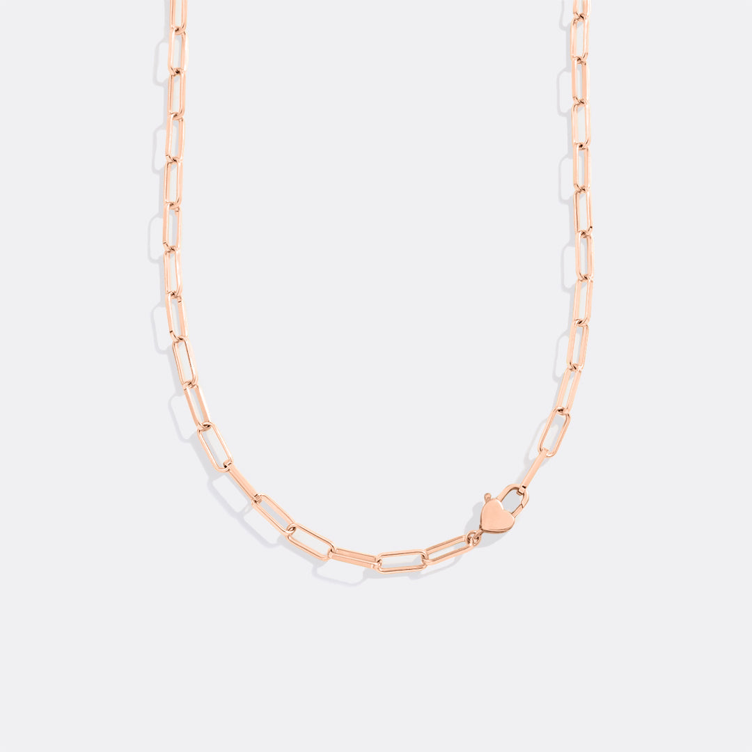 Mint & Lily Heart Padlock Necklace