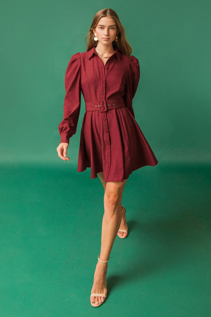 Wrapped up in Love Mini Dress