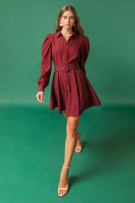 Wrapped up in Love Mini Dress