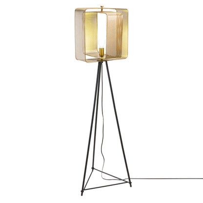 Gold/ Black-