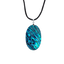 New Zealand Paua