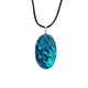New Zealand Paua