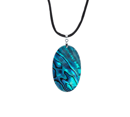 New Zealand Paua-