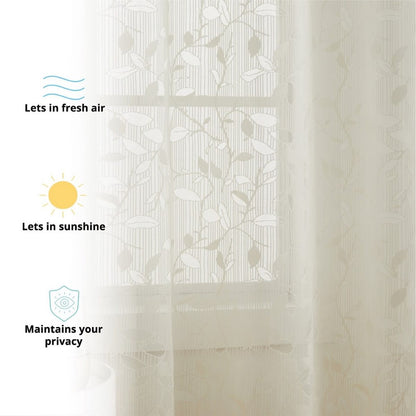 Ivory-