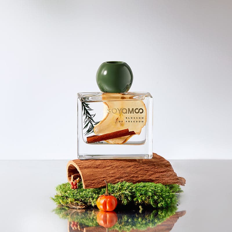SOYAMOO Apple Cinnamon Wildwood Reed Diffuser