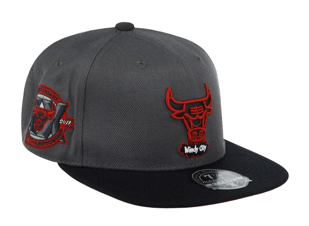 Men's Mitchell & Ness NBA Born And Bred Fitted Hwc Bulls