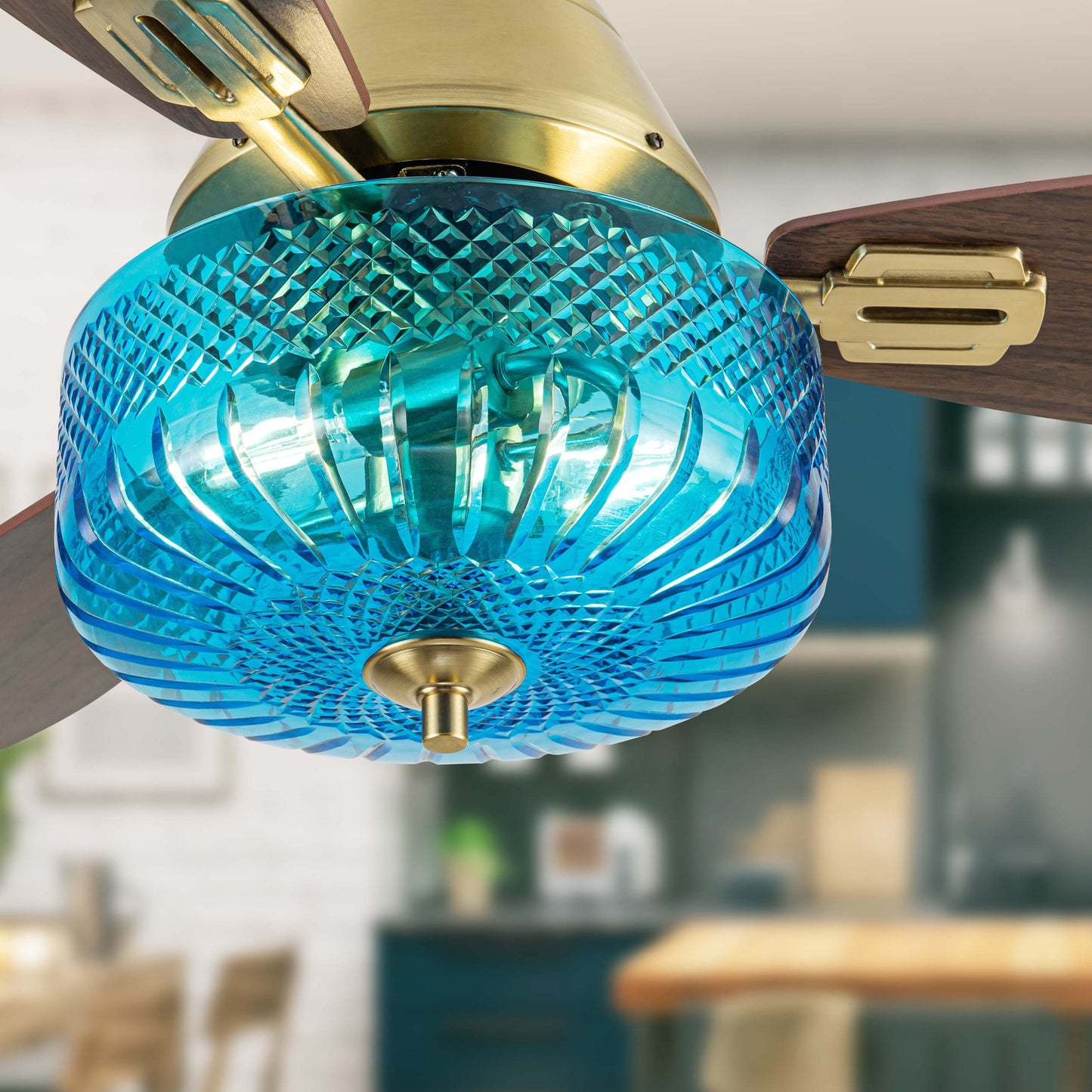 Blue/Gold-