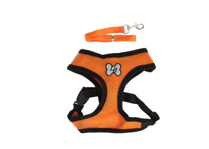 Orange-