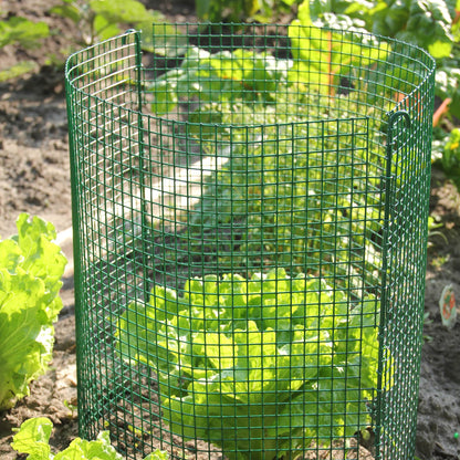 Green-