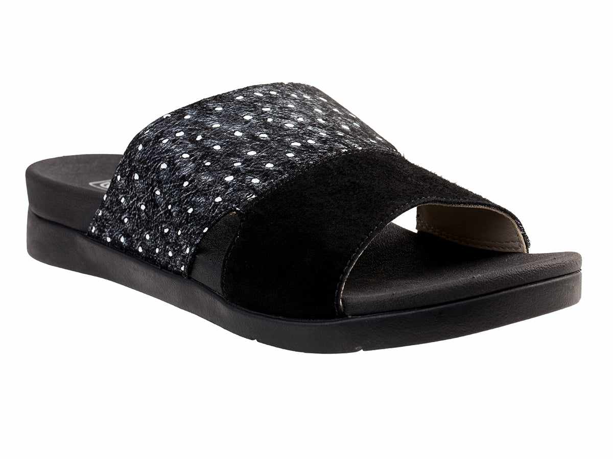 Black Ostrich -