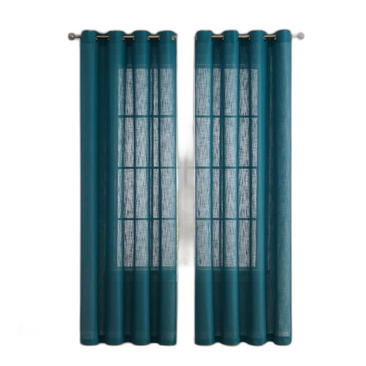 Grey Teal-