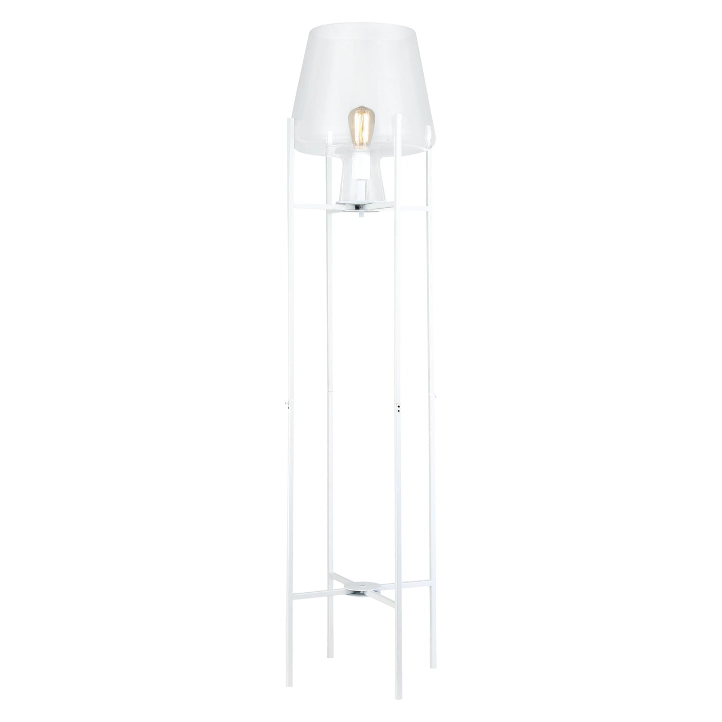 Clear/ White-
