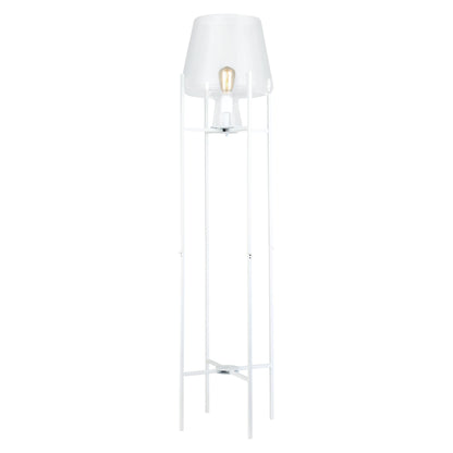 Clear/ White-
