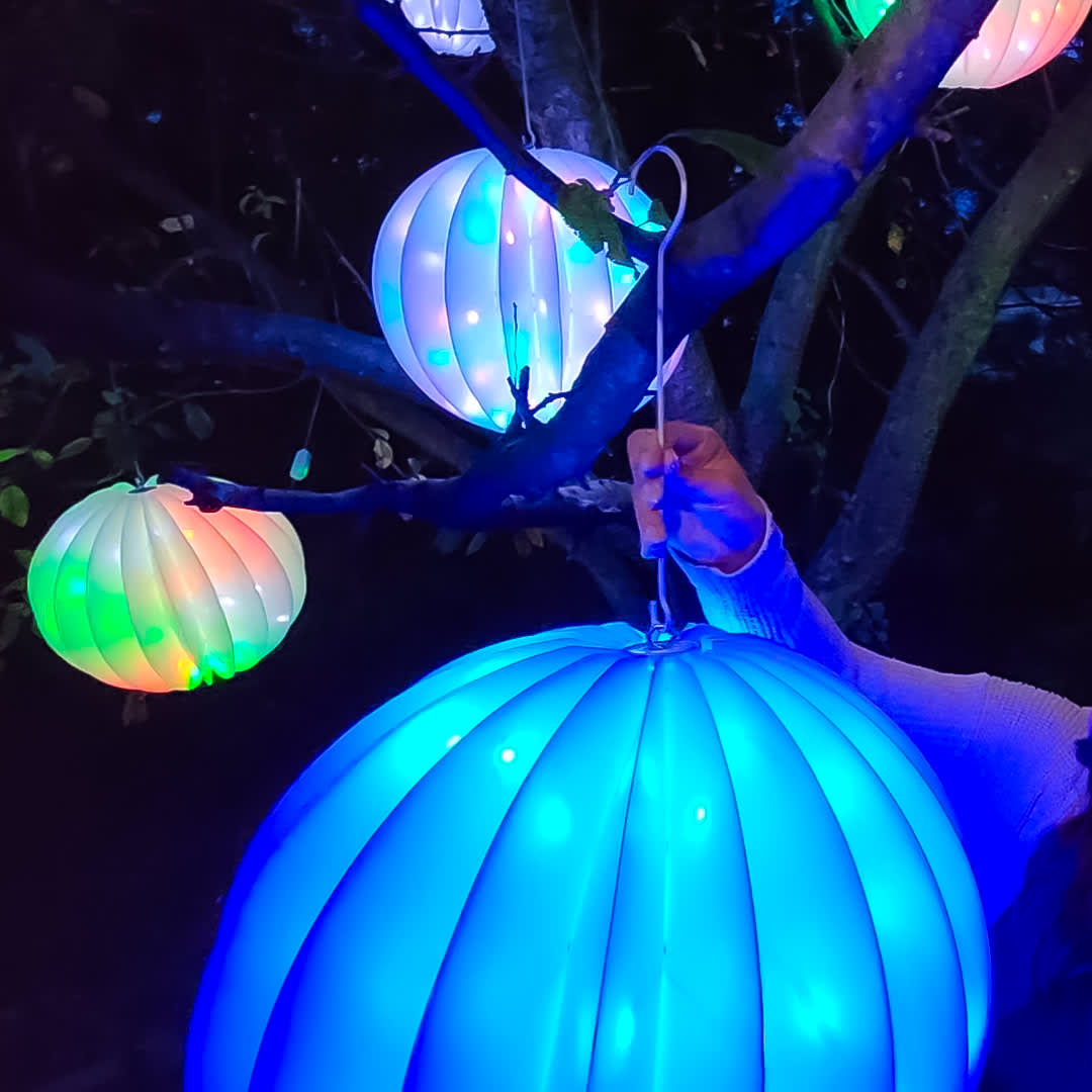 Flipo Twinklers Orb - Thumbnail 4