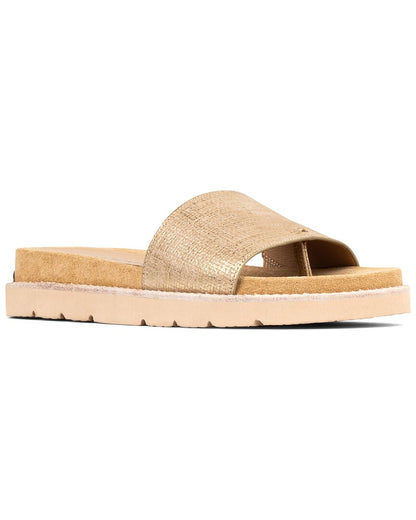 CAME-CAMEL-