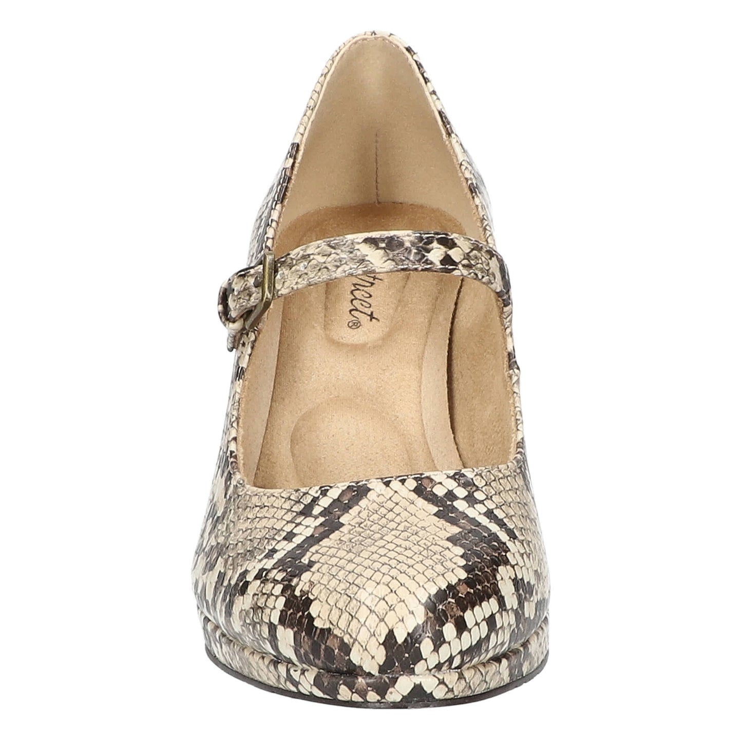 Taupe Snake-