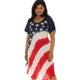 US Flag