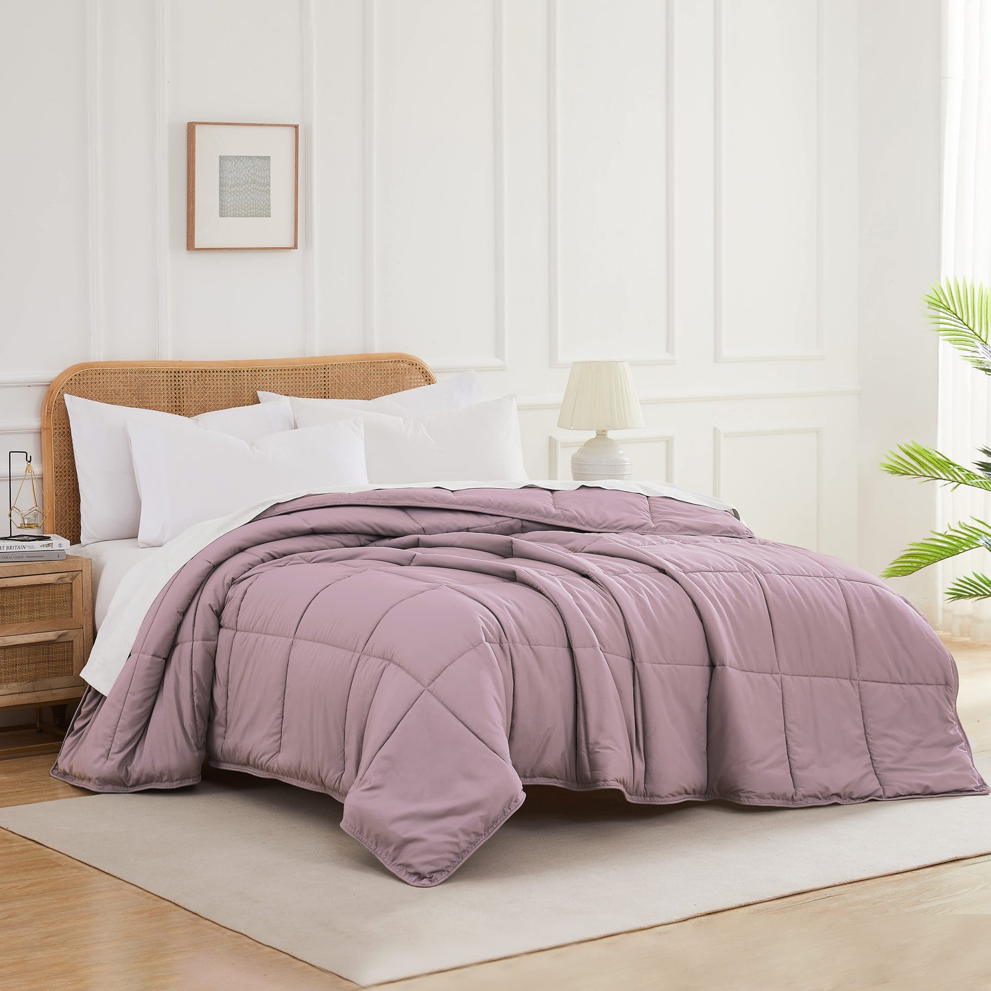 Lavender-