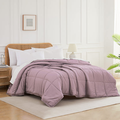 Lavender-