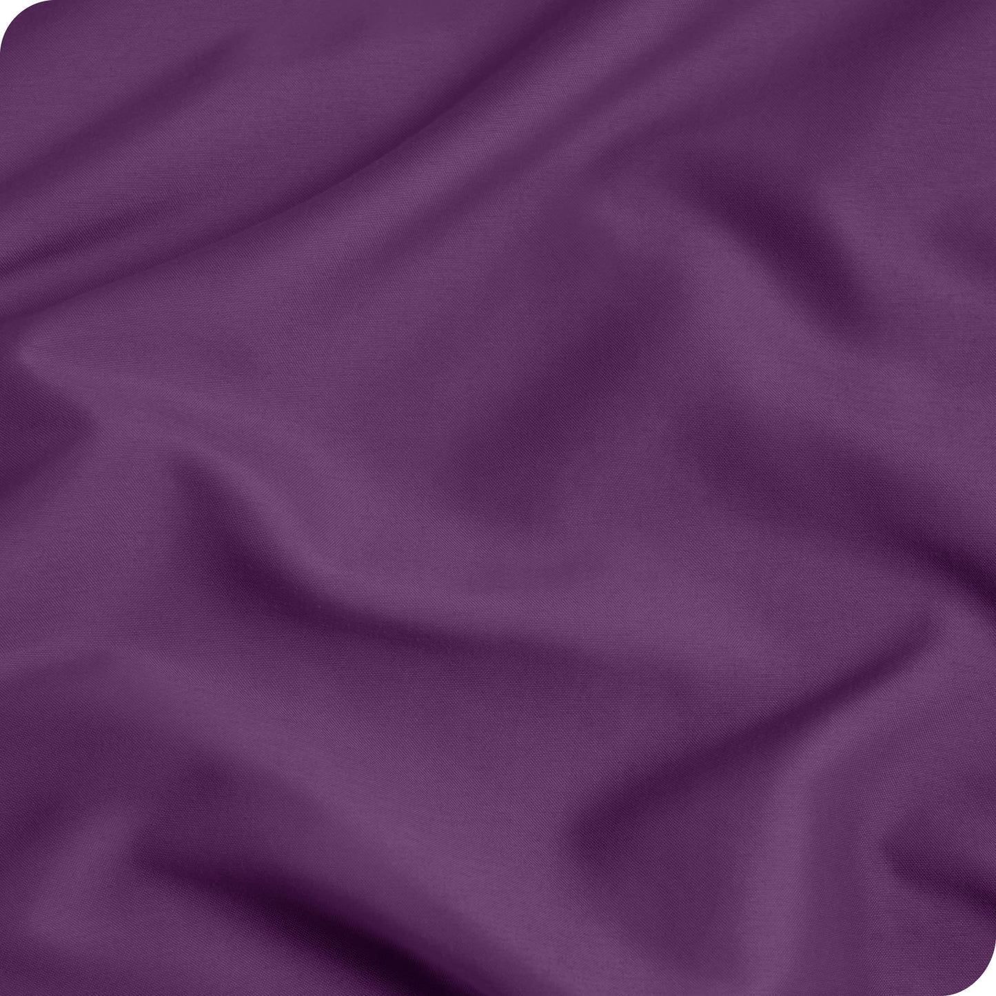 Plum-