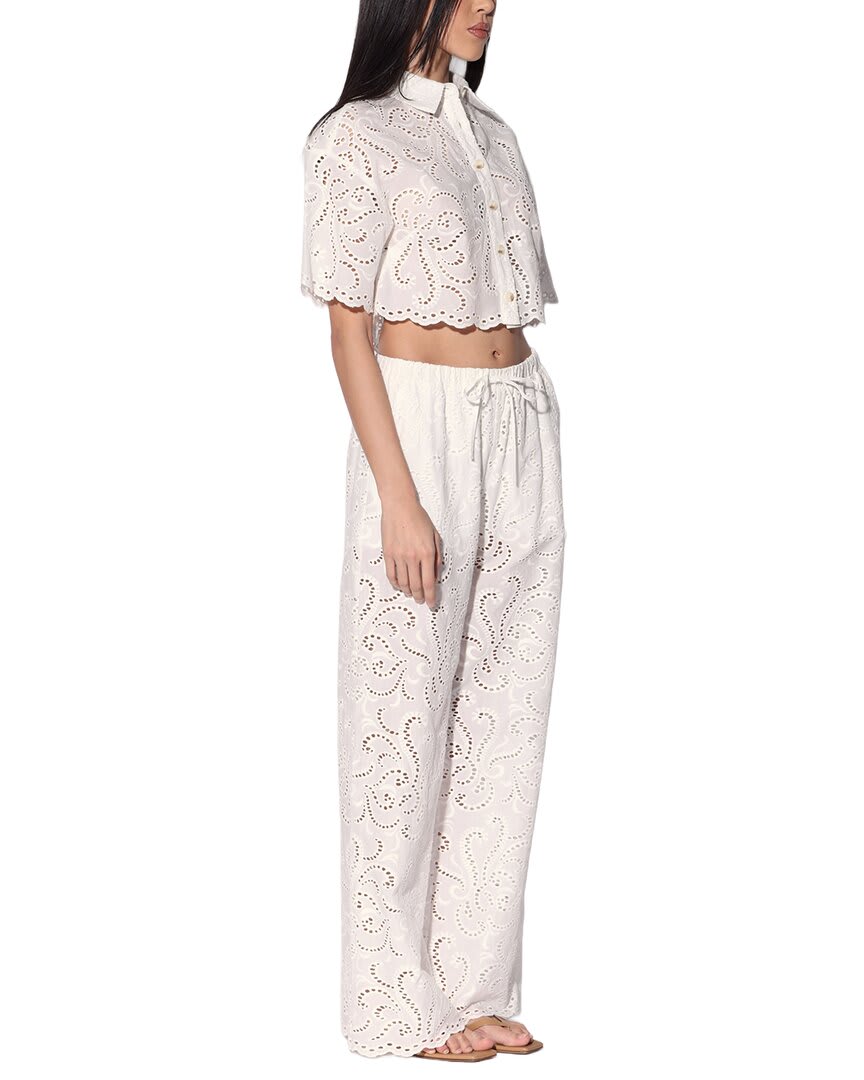 WHITE-
