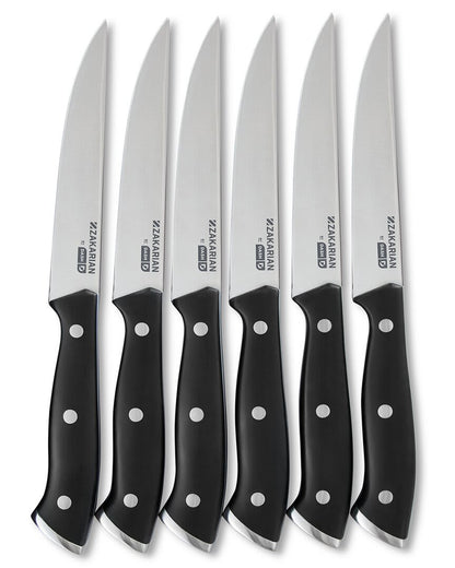 Zakarian by Dash 6Pc Steak Knife Set