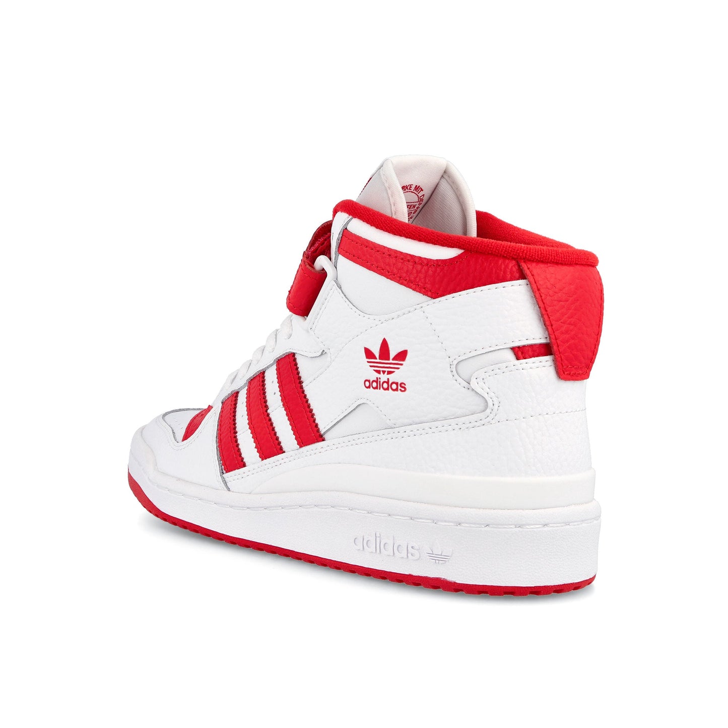 Ftwwht,Vivred,Ftwwht-