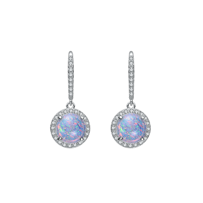 White Gold Plating with Clear Cubic Zirconia Halo Drop Hook Earrings