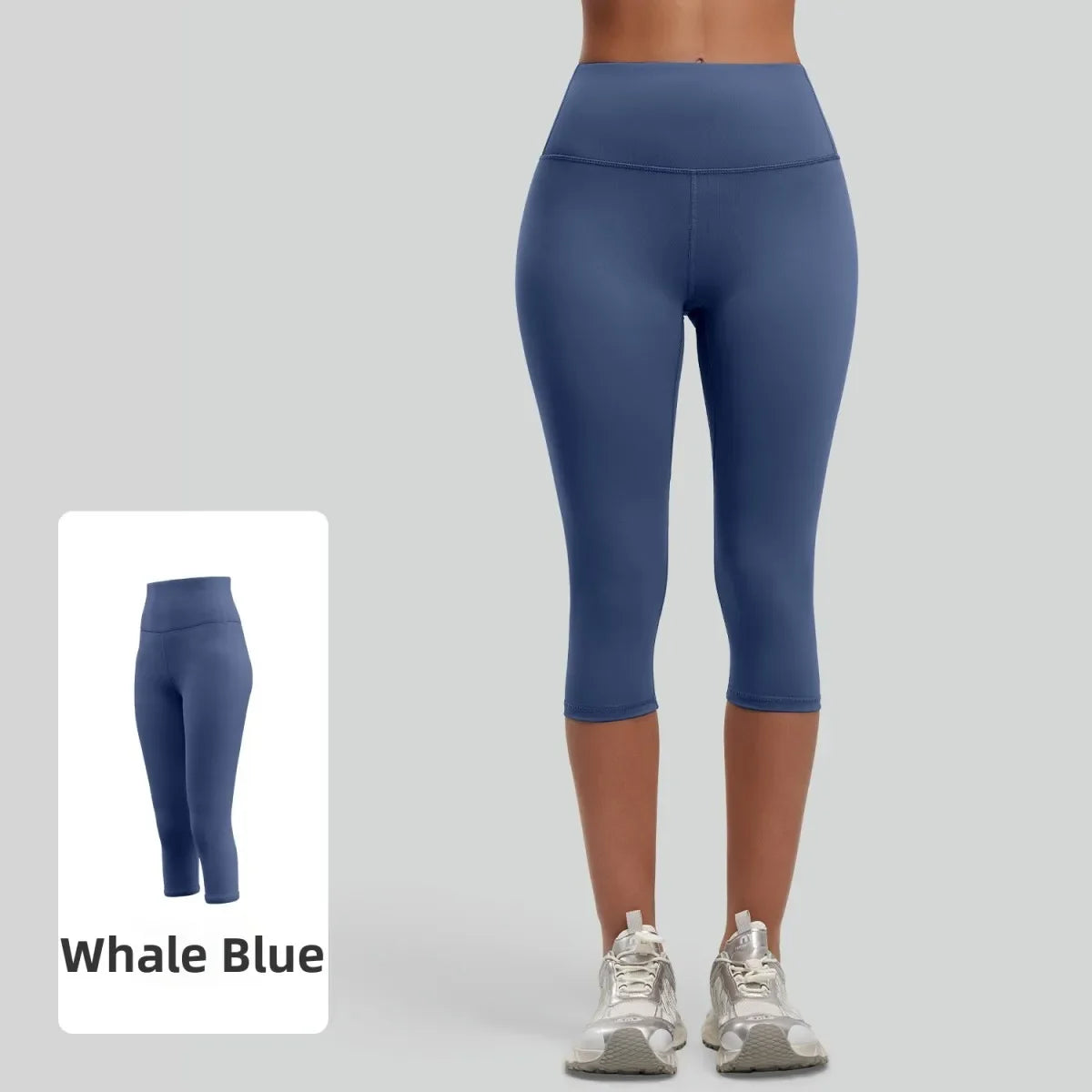 Whale Blue-