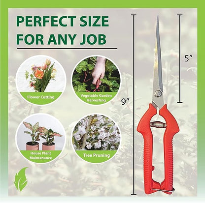 Multi-Colored-