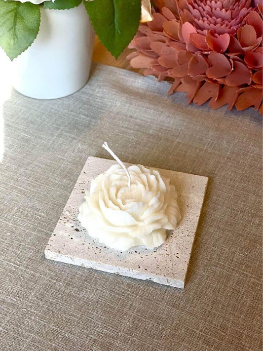 Ivory-
