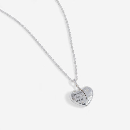 Harry Potter™ 'The Ones That Love Us' Locket Necklace