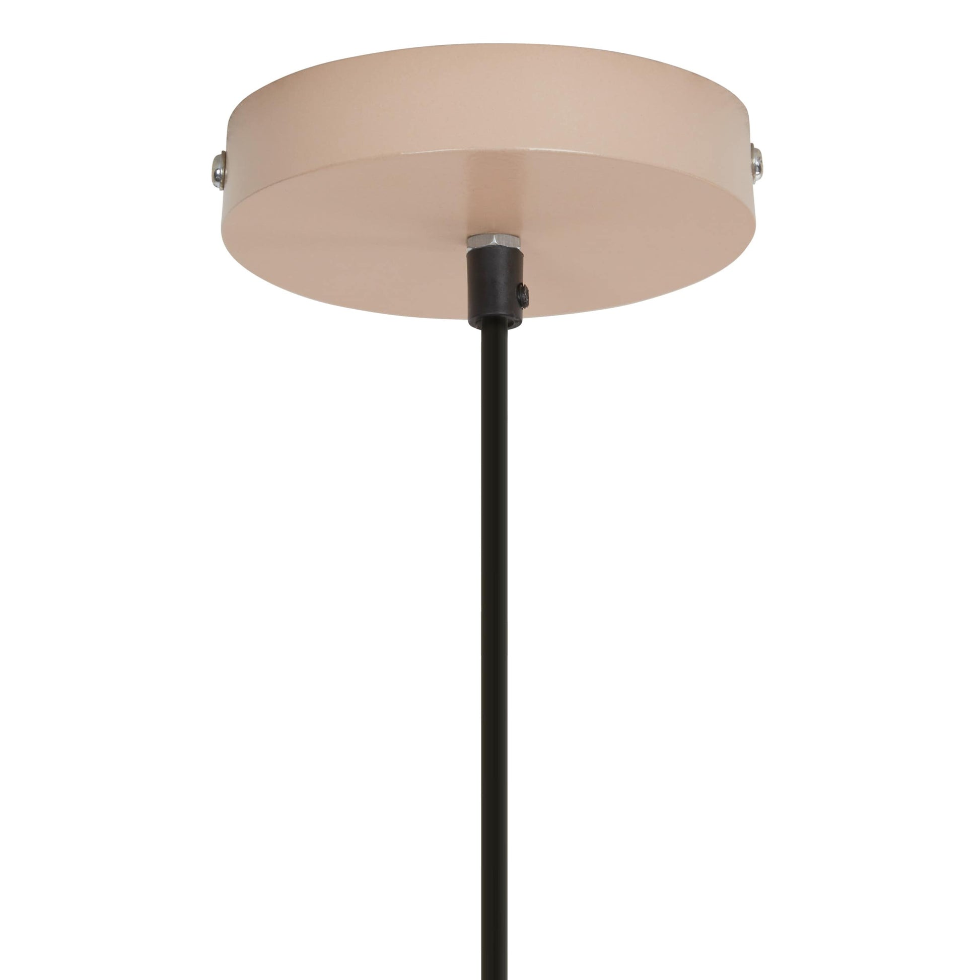 Bisque/Tan-