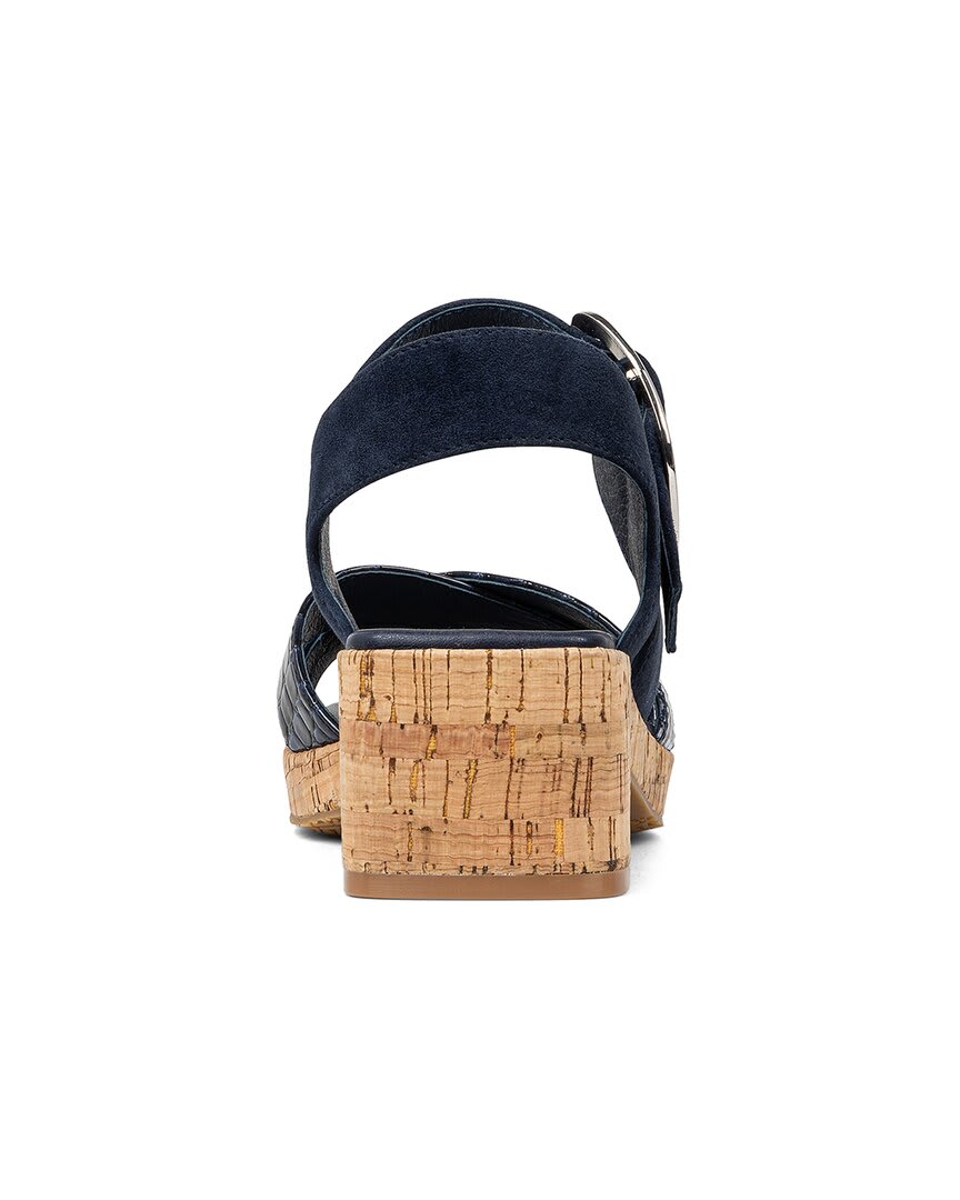 NAVY-
