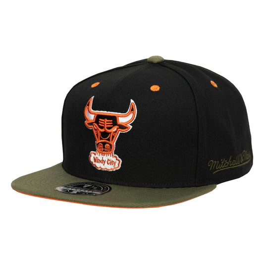 Mitchell & Ness Men's NBA Chicago Bulls Take Flight Fitted Fitted Caps