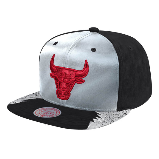Mitchell & Ness Men's NBA Day 5 Snapback Bulls Snapback Caps