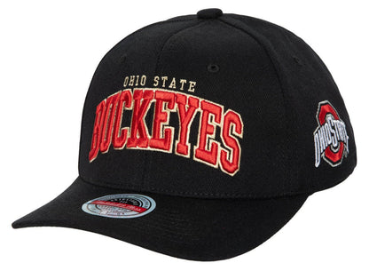 Mitchell & Ness Men's Ncaa The Champ Stretch Snapback Ohio State Snapback Caps