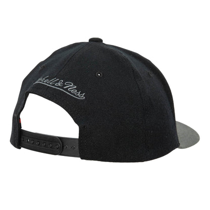 Mitchell & Ness Men's NBA Team 2 Tone 2.0 Stretch Snapback Nets Snapback Caps