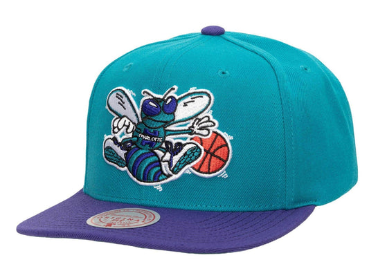 Mitchell & Ness Men's NBA Charlotte Hornets Team 2 Tone 2.0 Snapback