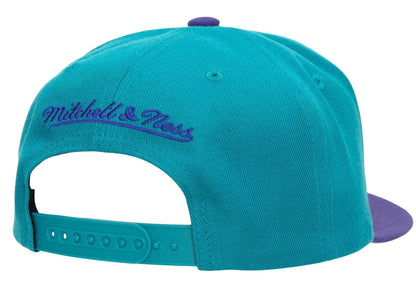 Mitchell & Ness Men's NBA Charlotte Hornets Team 2 Tone 2.0 Snapback