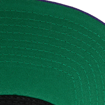 Mitchell & Ness Men's NBA Milwaukee Bucks Team 2 Tone 2.0 Snapback
