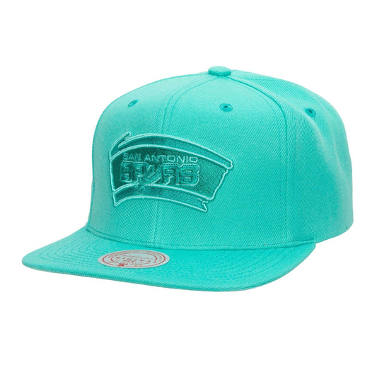Mitchell & Ness Men's NBA San Antonio Spurs Monochromatic Snapback