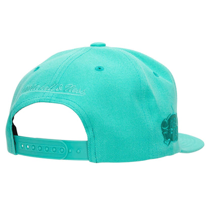 Mitchell & Ness Men's NBA San Antonio Spurs Monochromatic Snapback